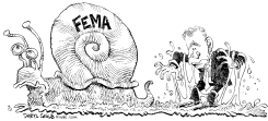 FEMA SNAIL by Daryl Cagle