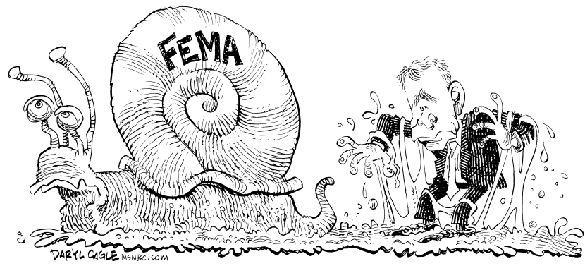 FEMA Snail