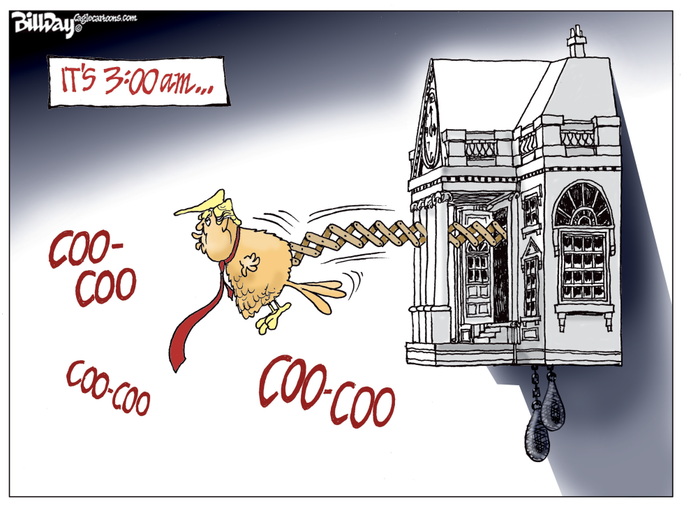 TRUMPIE BIRD