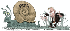 FEMA SNAIL  by Daryl Cagle