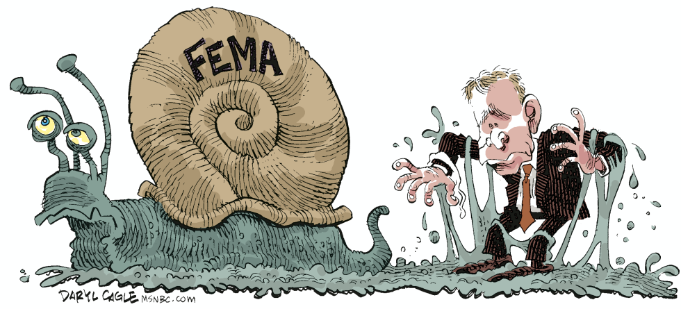 FEMA Snail COLOR