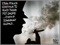 POLICE RAID MARIJUANA SHOPS by Terry Mosher