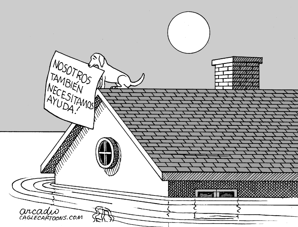 Animales de Nueva Orleans