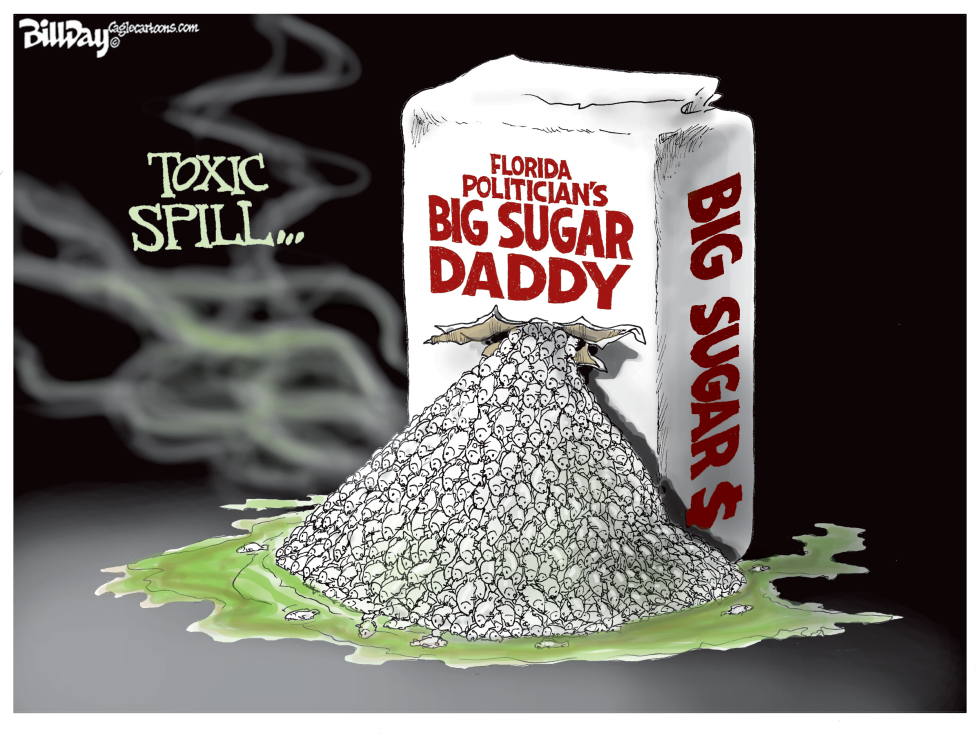 BIG SUGAR DADDY local FL