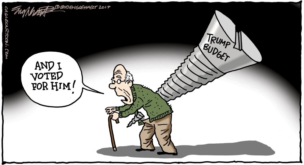 Trump Budget