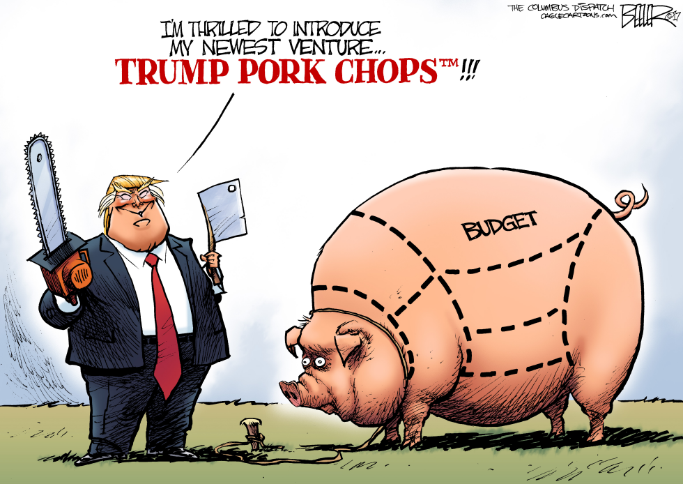 Budget Swine