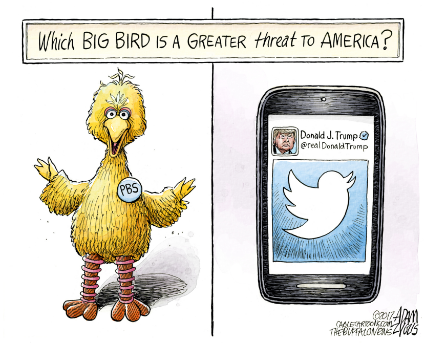 Big Bird COLOR