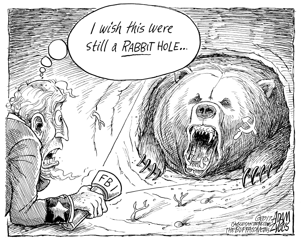 Trump rabbit hole