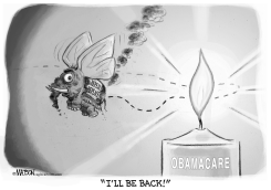 REPUBLICAN MOTH AND OBAMACARE FLAME by R.J. Matson