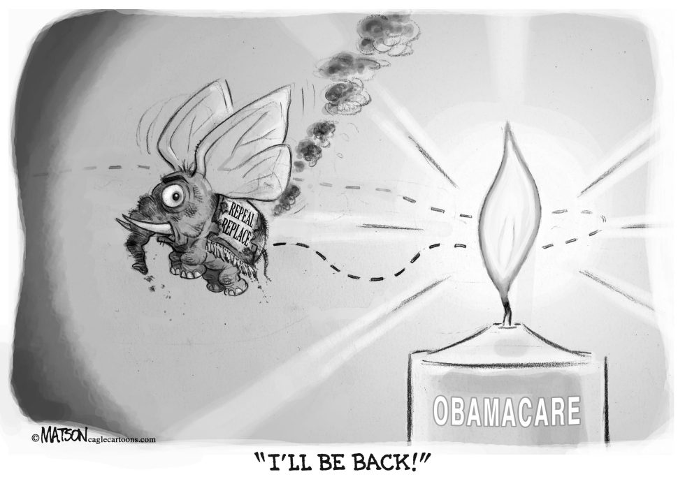  REPUBLICAN MOTH AND OBAMACARE FLAME by RJ Matson