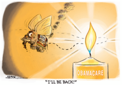 REPUBLICAN MOTH AND OBAMACARE FLAME by R.J. Matson
