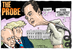 THE PROBE by Monte Wolverton