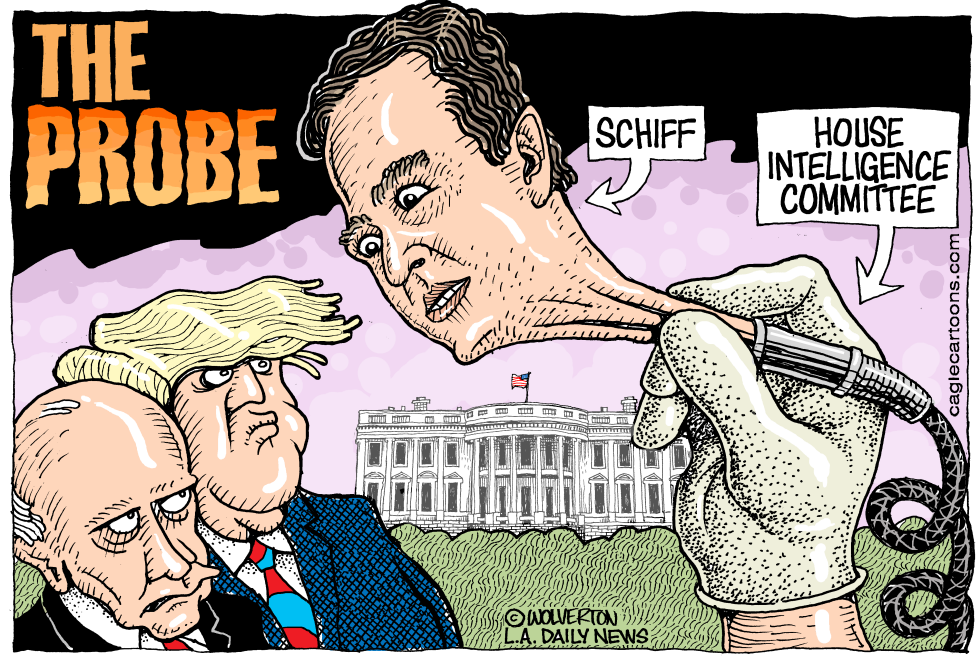 The Probe