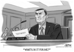 LT GENERAL FLYNN SEEKS IMMUNITY DEAL by R.J. Matson