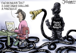 PRIVACY REPEAL by Joe Heller
