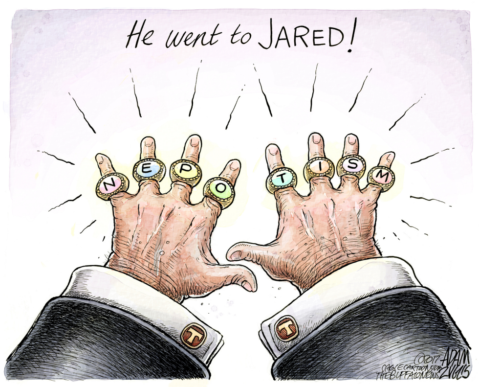  JARED KUSHNER by Adam Zyglis