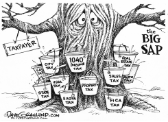 TAXES by Dave Granlund