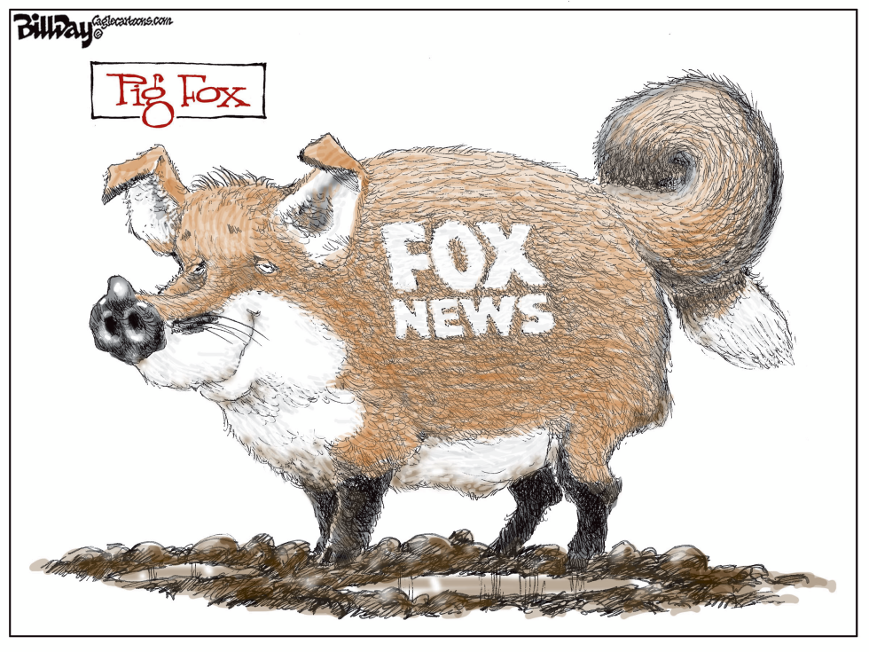PIG FOX