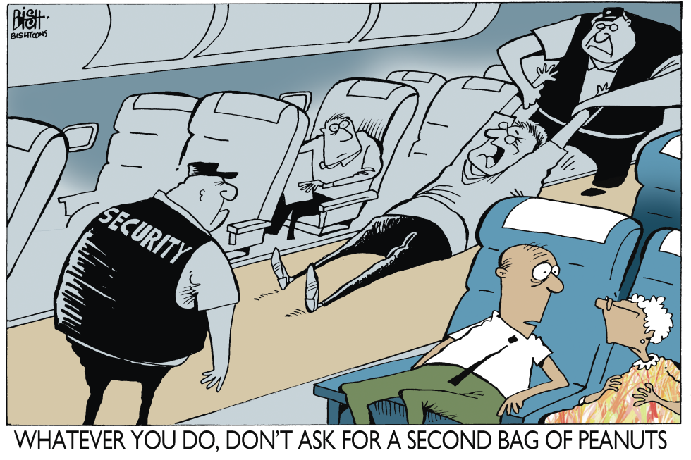 UNITED AIRLINES PASSENGER, COLOR