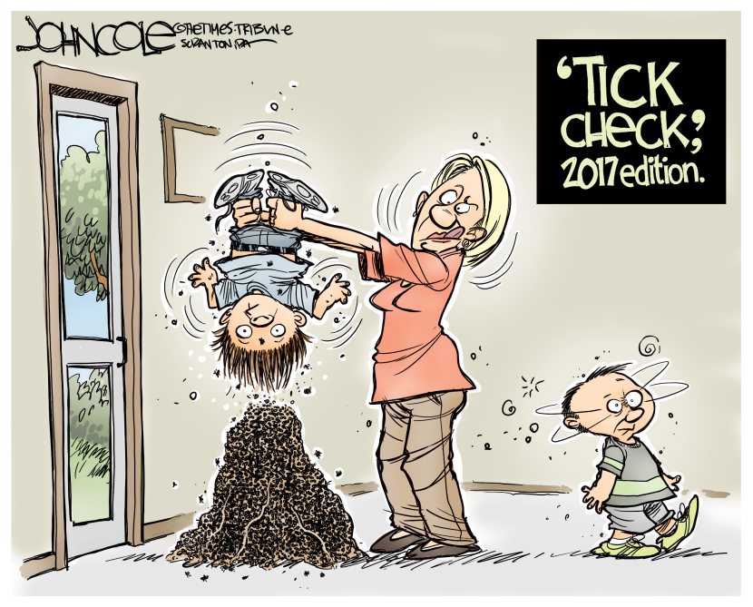 Tick check 2017