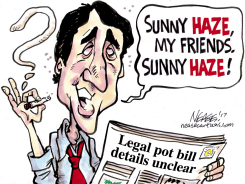 SUNNY HAZE by Steve Nease