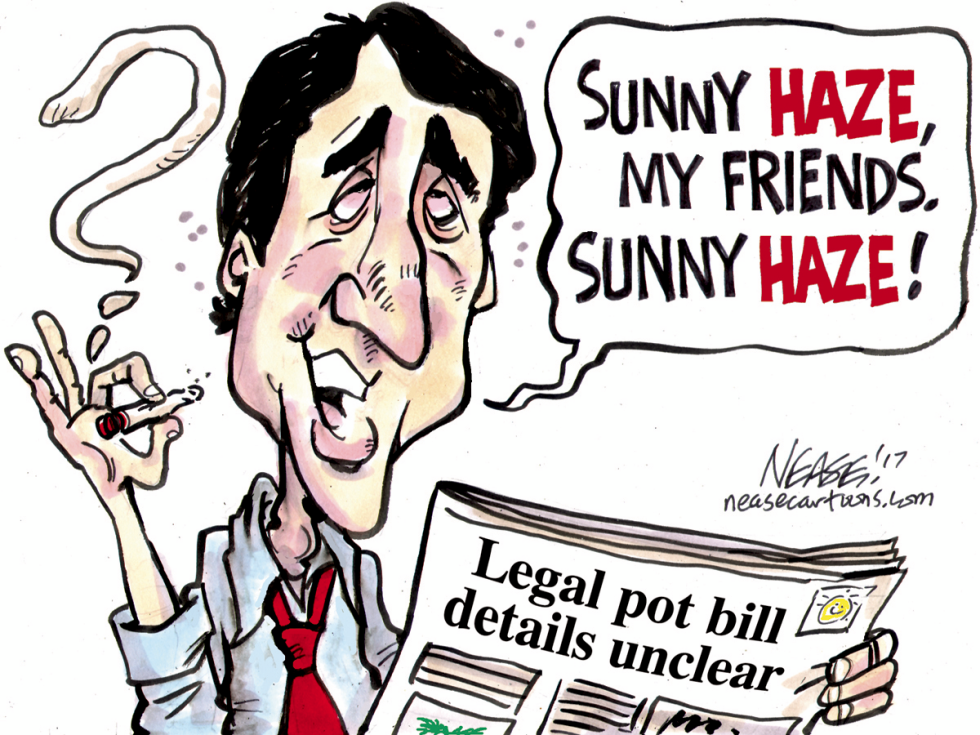 Sunny Haze