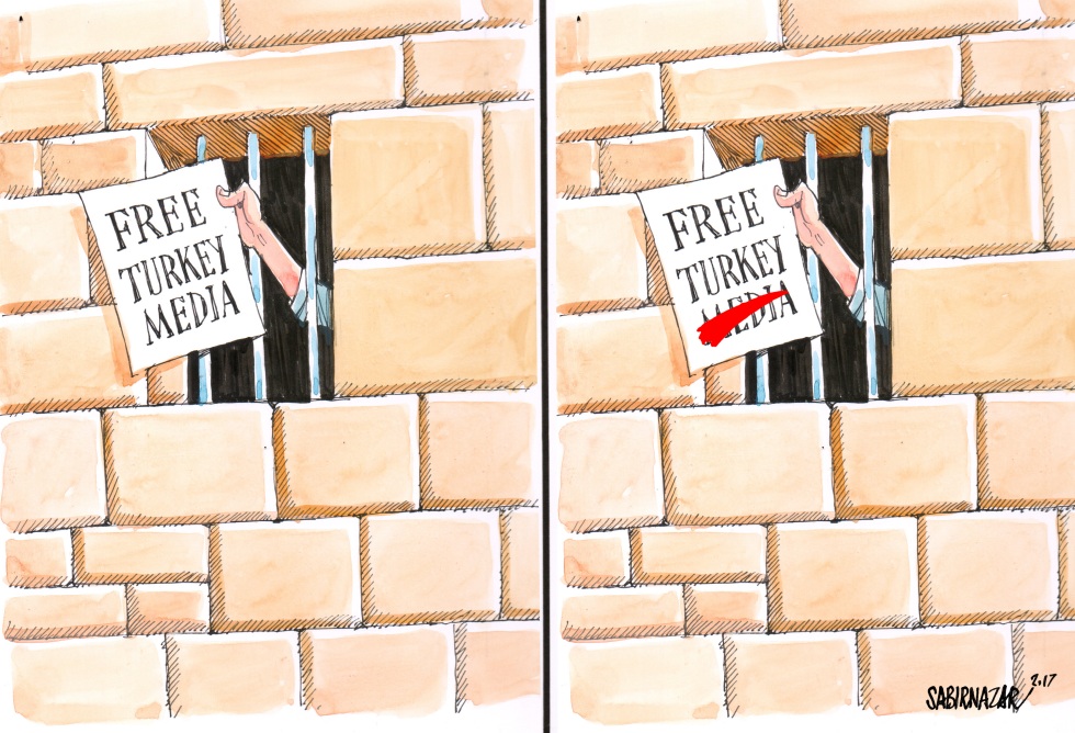 Erdogan's New Turkey