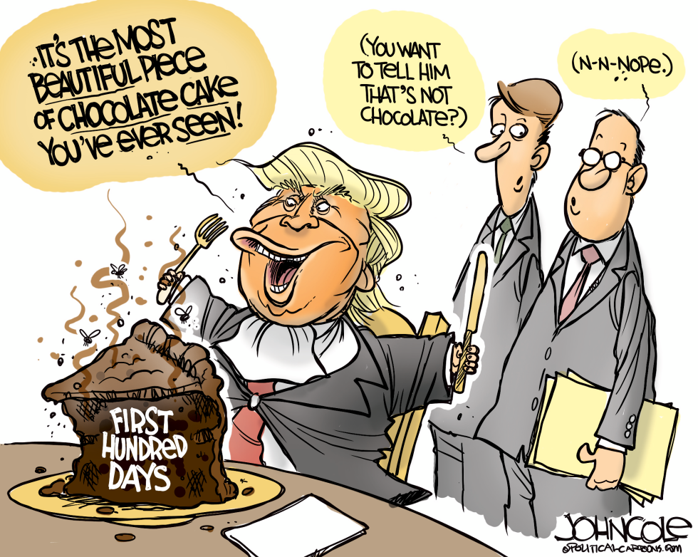 Chocolate cake