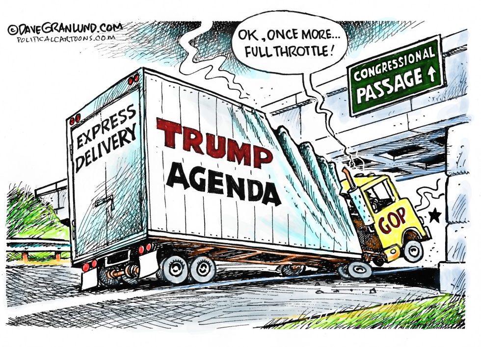  TRUMP AGENDA & CONGRESS by Dave Granlund