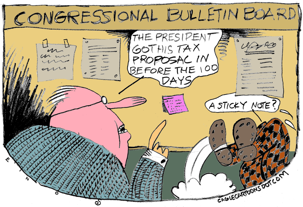 Tax Proposal