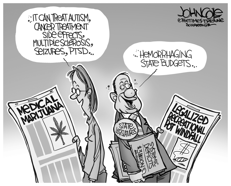 Leaglized pot and state budgets BW