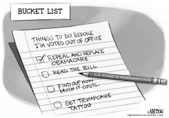 AHCA BUCKET LIST by R.J. Matson