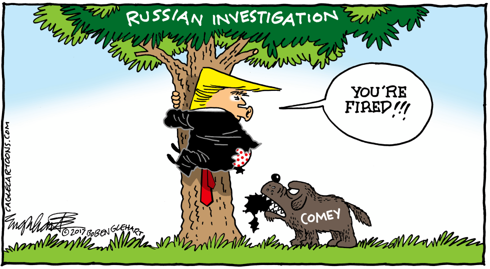 Trump Fires FBI Director Comey Amid Russia Probe