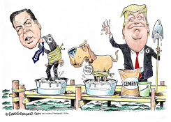 COMEY FIRED BY TRUMP  by Dave Granlund