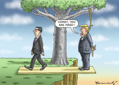 COMEY IS FIRED by Marian Kamensky