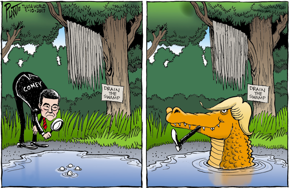 Drain The Swamp