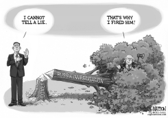 JAMES COMEY AND THE CHERRY TREE by R.J. Matson