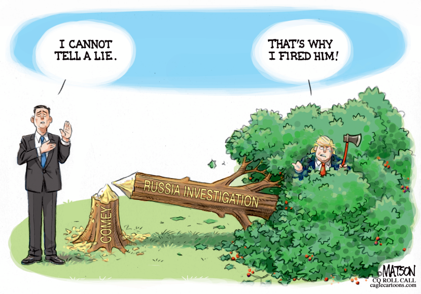 James Comey and the Cherry Tree-COLOR