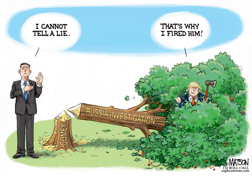 James Comey and the Cherry Tree-COLOR