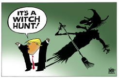 TRUMP'S WITCH HUNT,  by Randy Bish