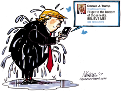 LEAKS by Steve Nease