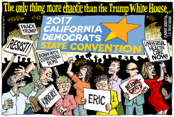 LOCALCA STATE DEMOCRATIC CONVENTION by Monte Wolverton