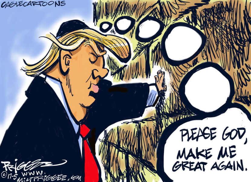 Trump Wall