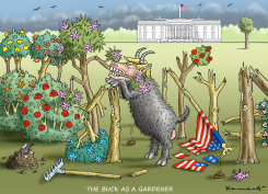 TRUMP GARDENER by Marian Kamensky