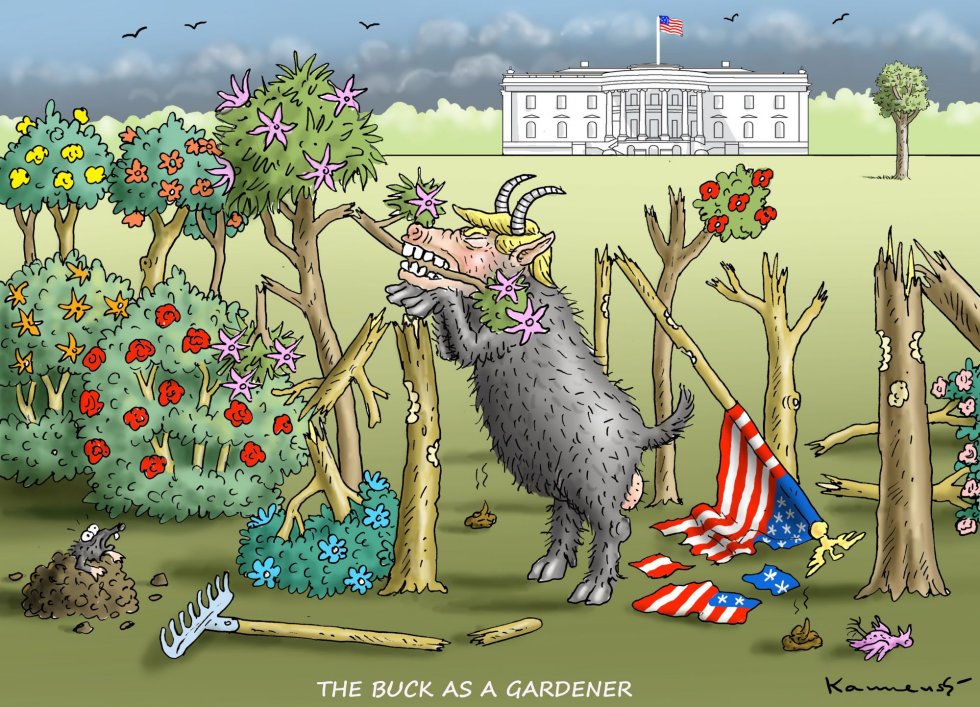 Trump Gardener