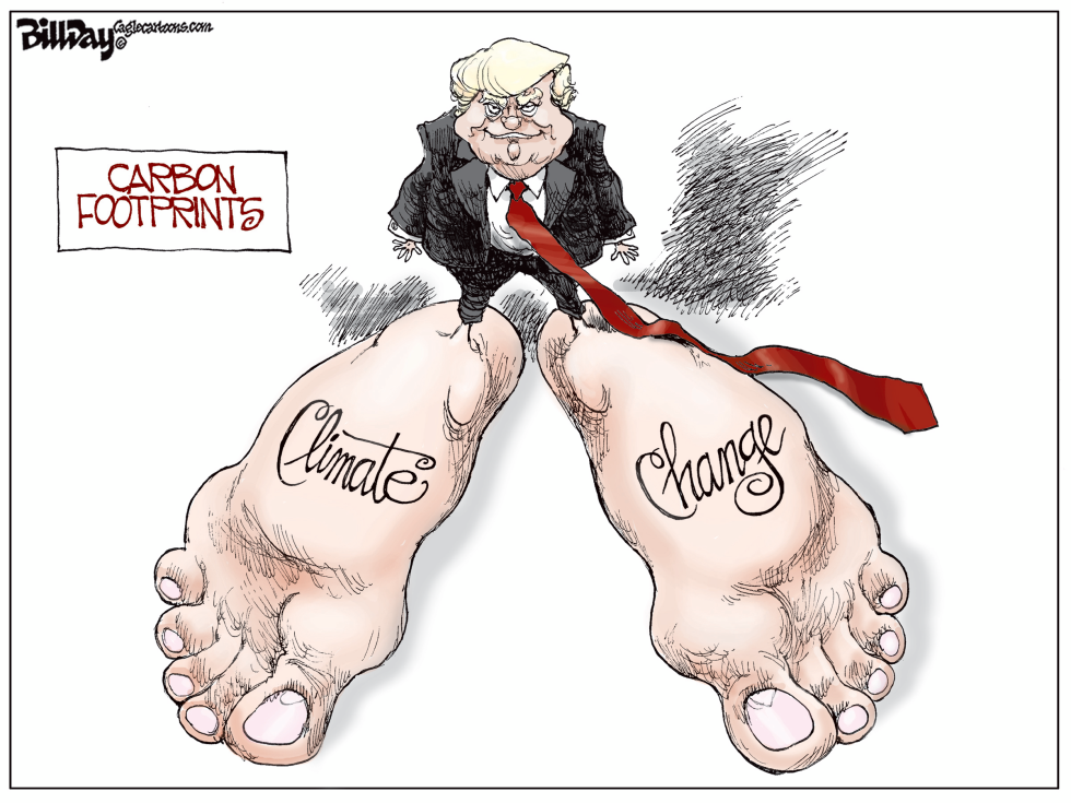 CARBON FOOTPRINTS
