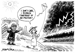 STORM DISASTER WARNING by Zapiro