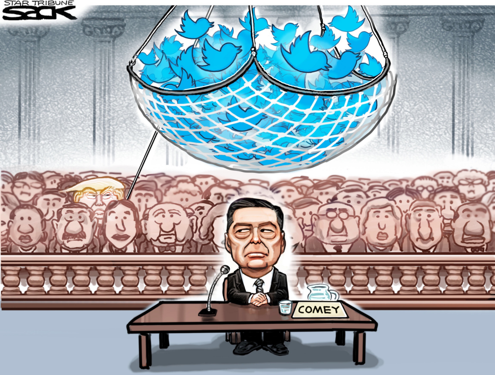  WATCH THE BIRDIE by Steve Sack