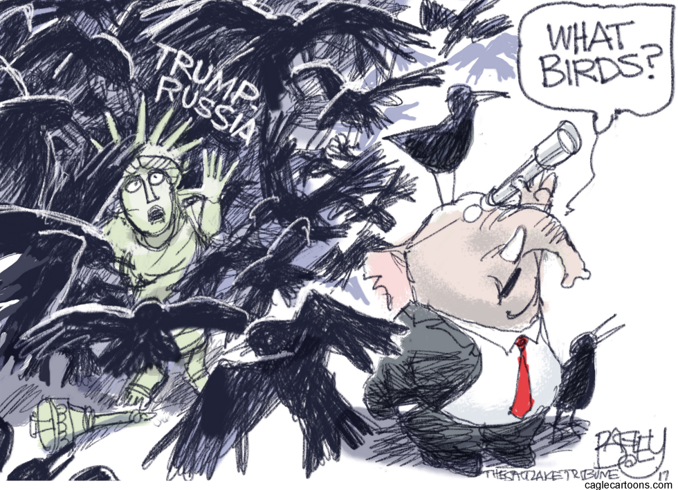 Trump Birds
