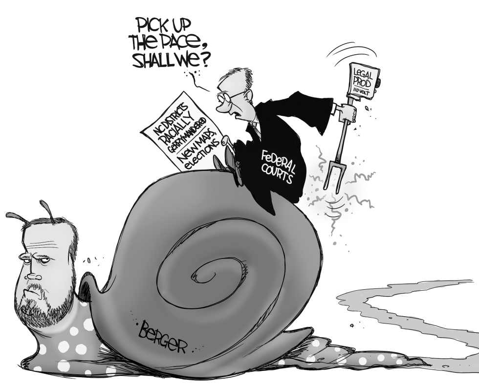 LOCAL NC NC redistricting BW